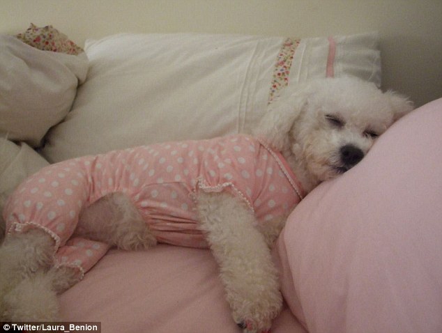 Ӣ��С�������������ö�������