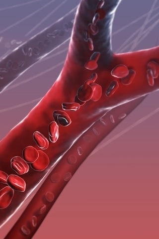 ��̾������ҽѧ3D������ͼ ����ͼƬ