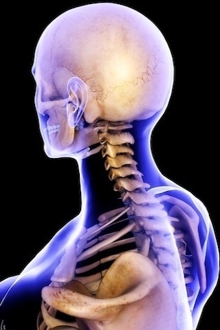 ��̾������ҽѧ3D������ͼ ����ͼƬ