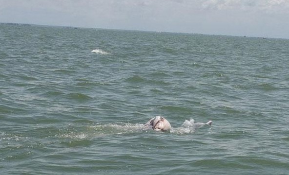 �������������������ؼ� ��������