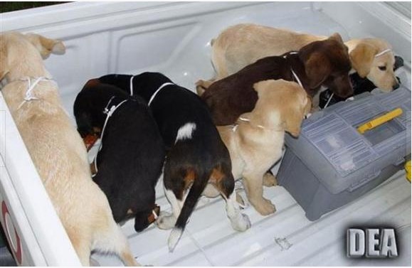 ���ط������ӵĲض������� ���治�У�ͼ��