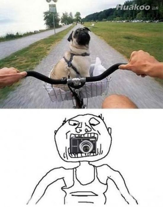 �������ڲ�������׷��� ��Ц��ͼ