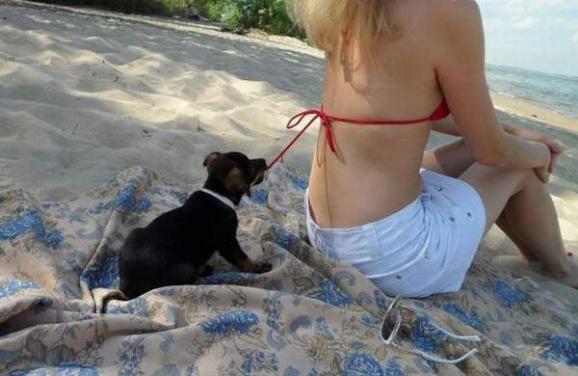 ����Ц�������Ķ���ͼ ��ЦͼƬ