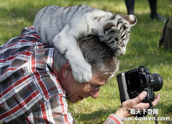 ʵ�Ķ�����Ȥ˲�䣬�ȷ���