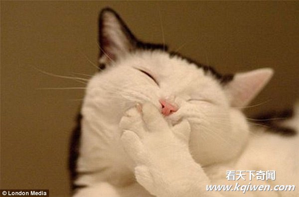 ������Ц���˵ĺ�Ц����