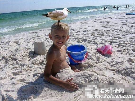 ɳ̲�����������˲���